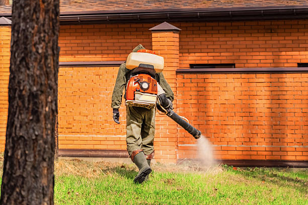 Trusted Emergency Pest Control service in Idaho Springs, CO - Nex Pest Control